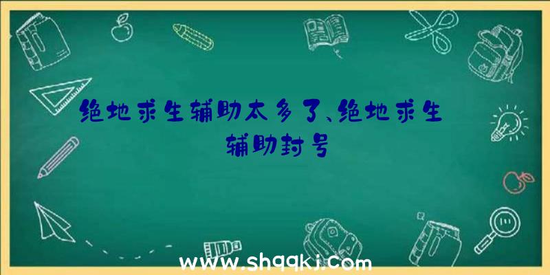 绝地求生辅助太多了、绝地求生